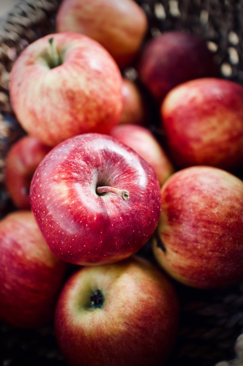 apples, fruit, agriculture, organic, nature, nutrition, fresh, food, red, apples, fruit, fruit, fruit, fruit, fruit, agriculture, agriculture, nutrition, nutrition